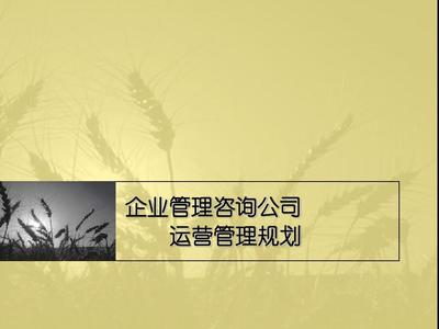 企业管理咨询公司运营管理规划